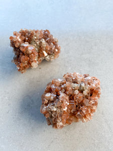 Spatulas Aragonite Cluster