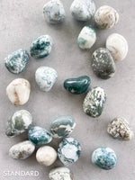 Load image into Gallery viewer, Tree Agate Tumble Stone
