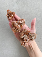 Load image into Gallery viewer, Spatulas Aragonite Cluster
