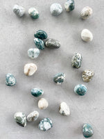 Load image into Gallery viewer, Tree Agate Tumble Stone
