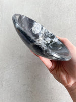Load image into Gallery viewer, Orthoceras Fossil Bowl | 11cm
